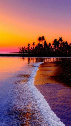 La isla de Hawaii paraiso
