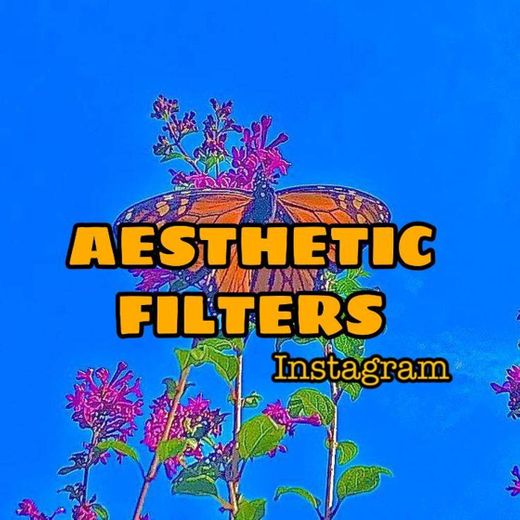 Aesthetic filters 