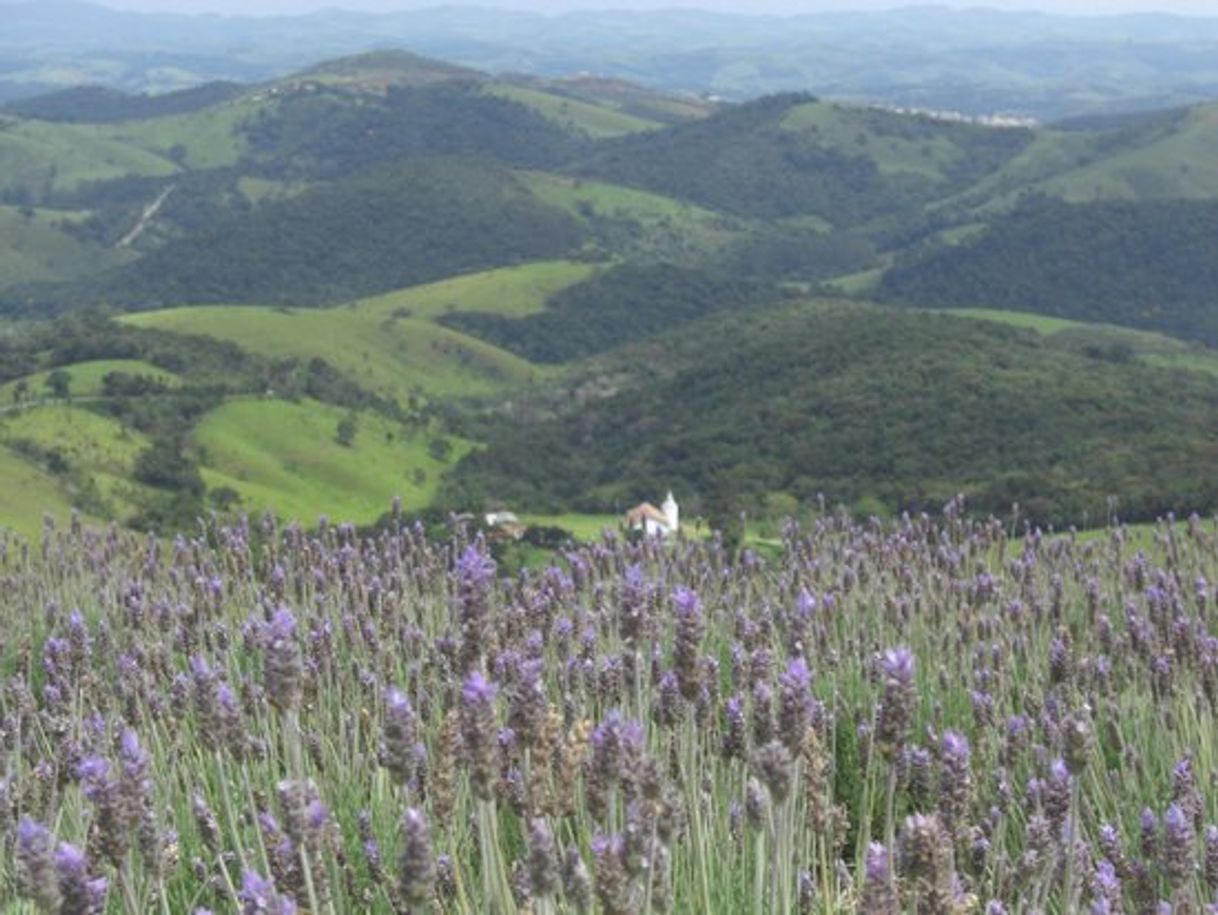 Lugar O Lavandário