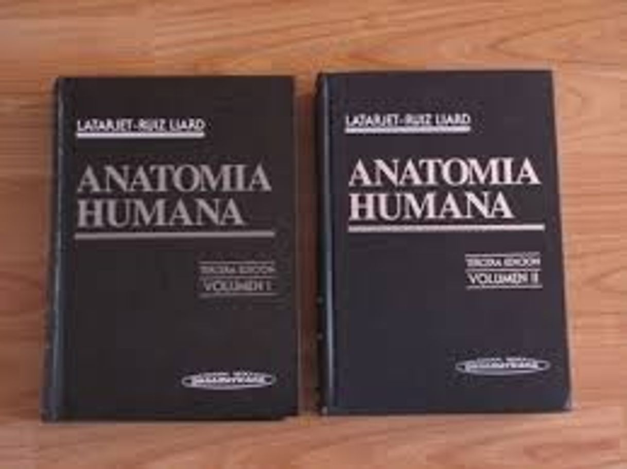 Book Anatomia Humana