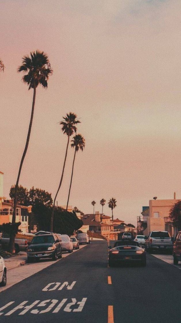 Social Wallpaper aesthetic vintage