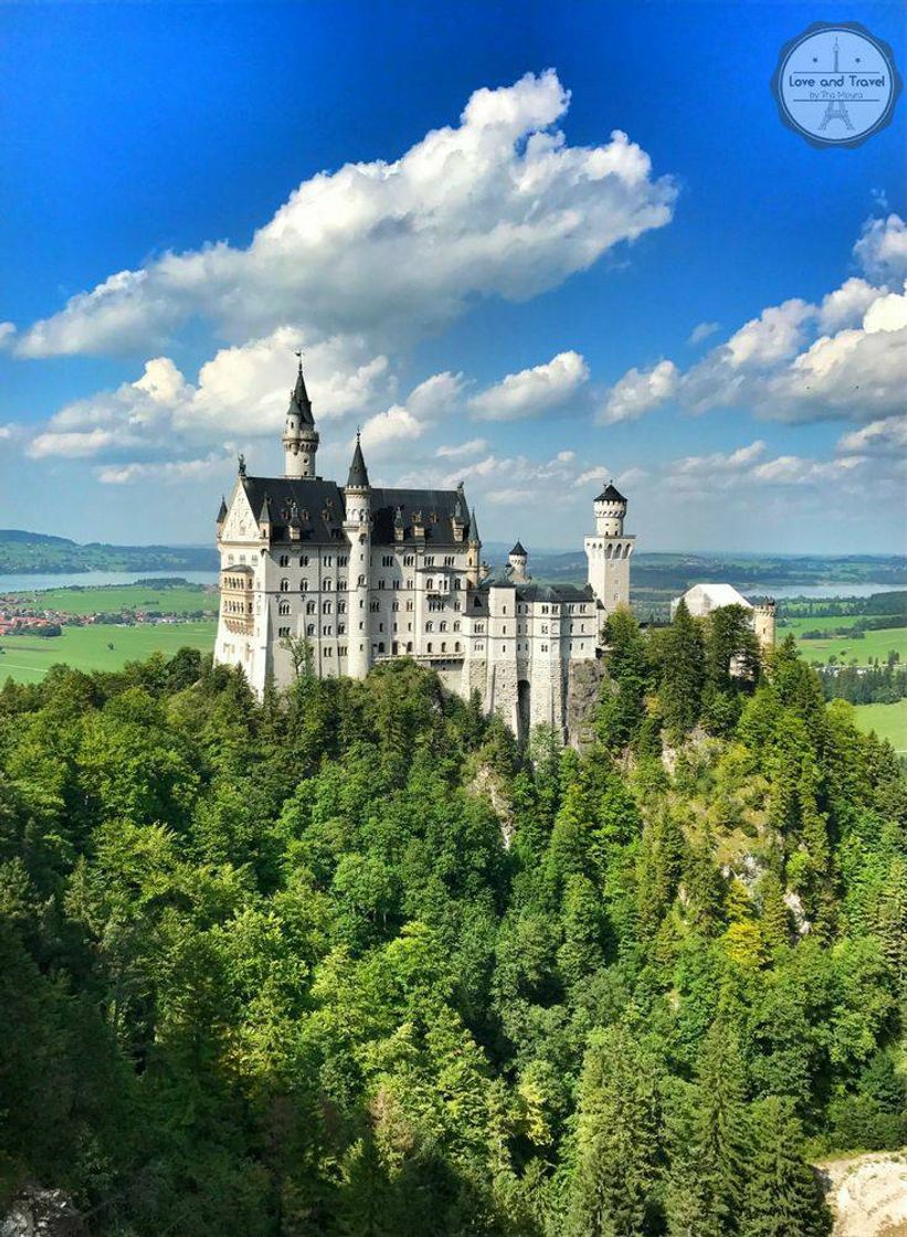 Fashion Castelo neuschwanstein (Alemanha)🇩🇪