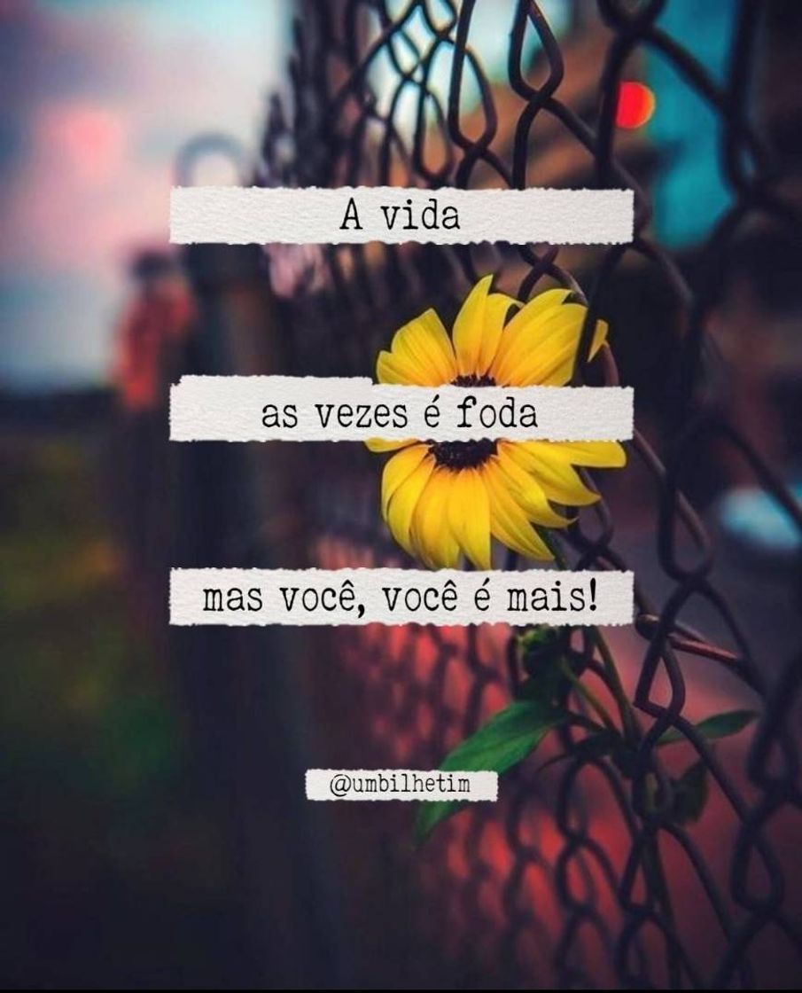 Moda Frases de Motivação