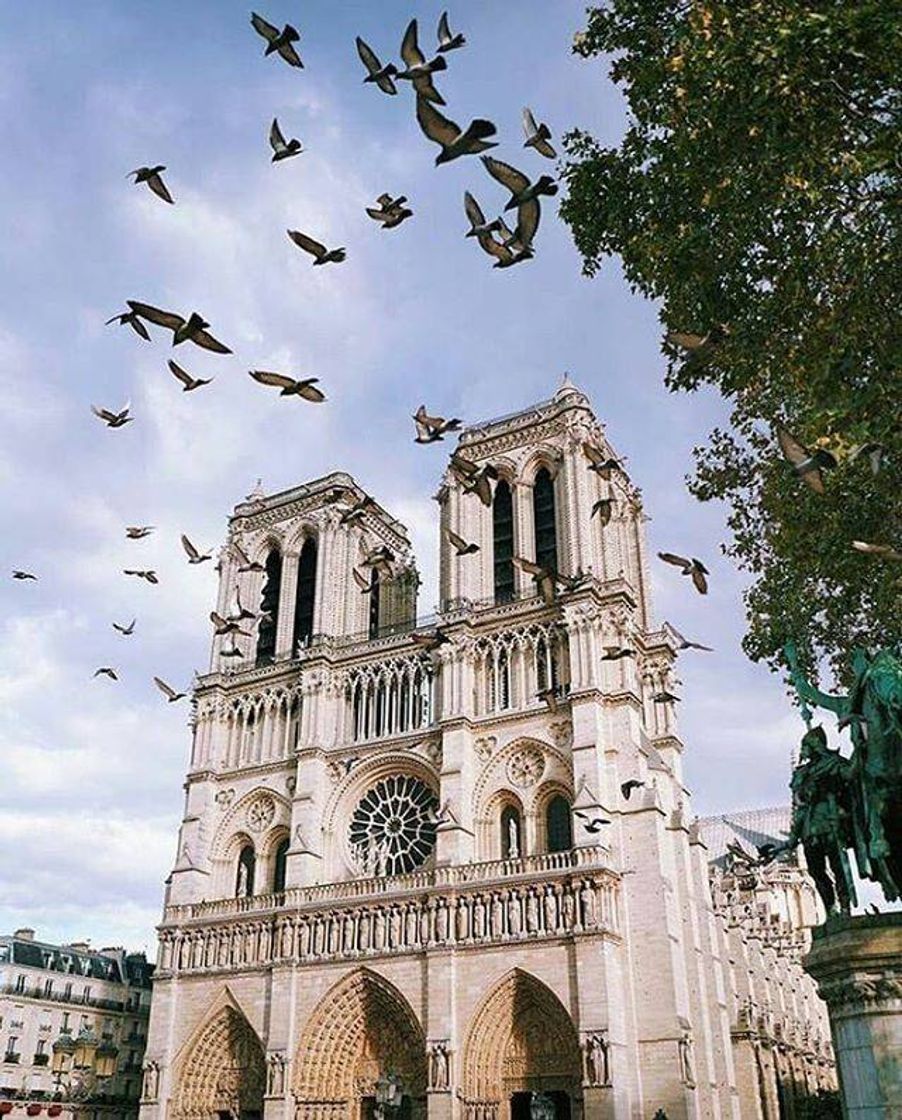 Places Notre dame