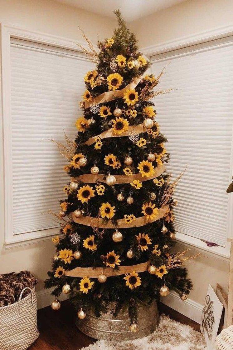 Social Árvore 🌲