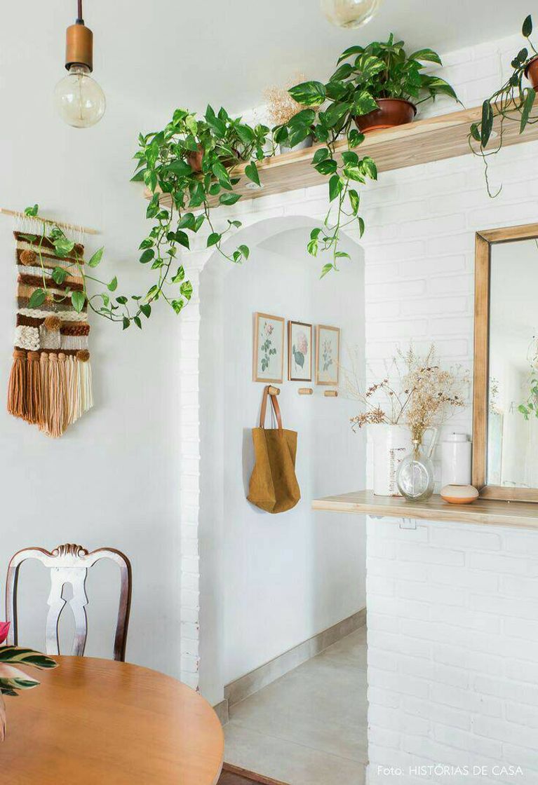 Moda Ideias para jardim suspenso 🌿