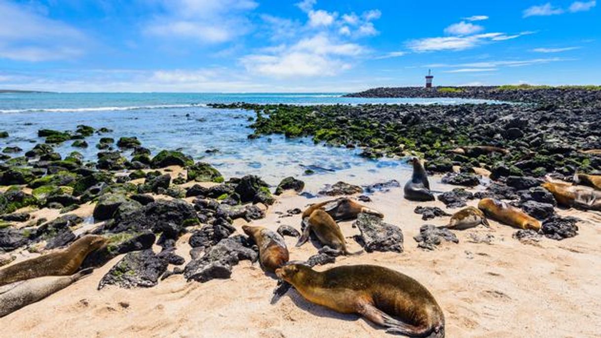 Lugar Galapagos Islands