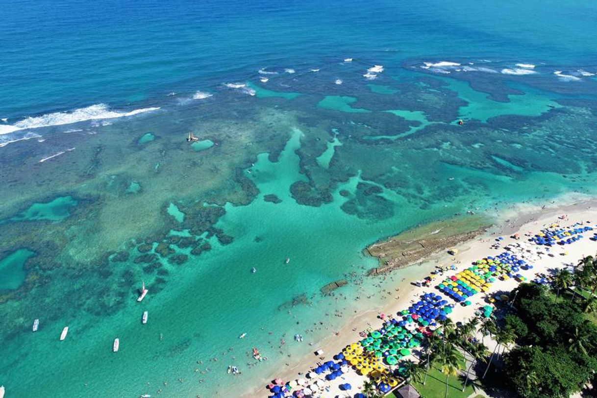 Lugar Piscinas naturais de Porto de Galinhas