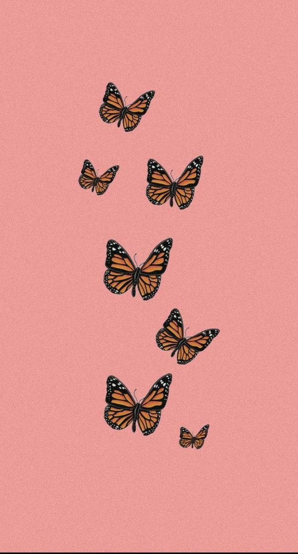 Moda Wallpaper 🦋