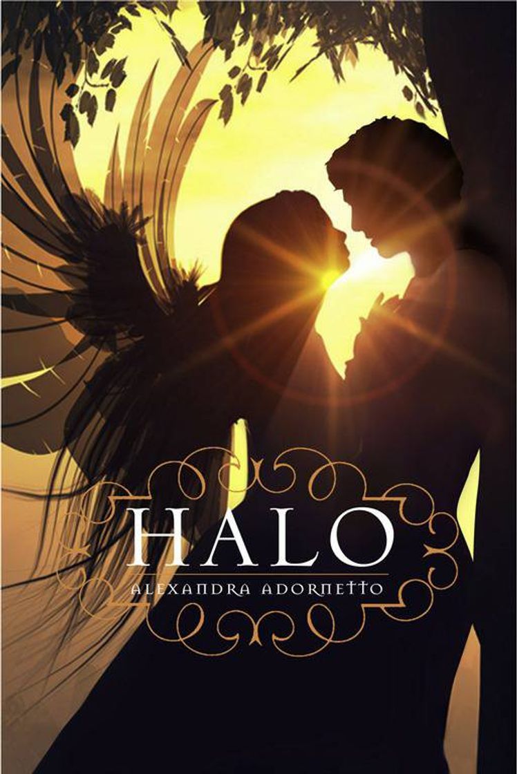 Book Livro Halo