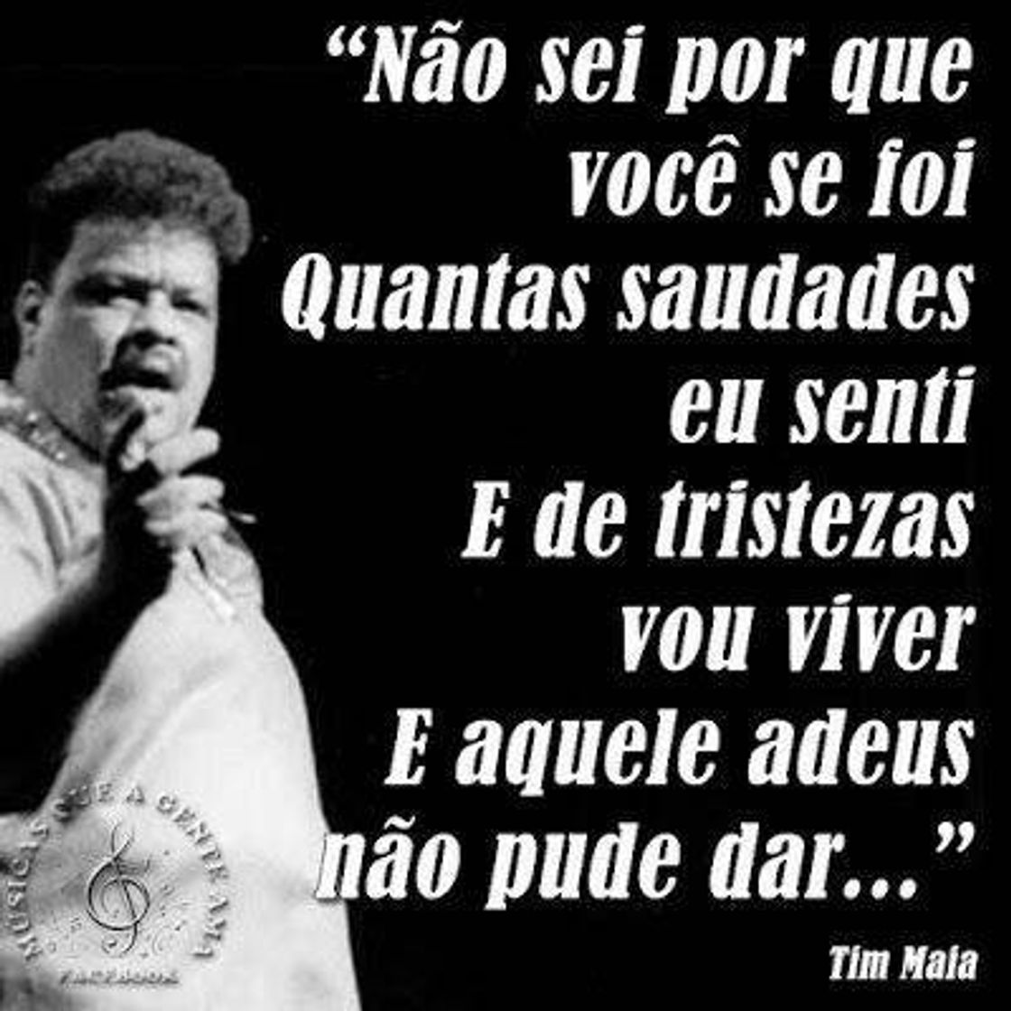 Fashion  frases do Tim Maia