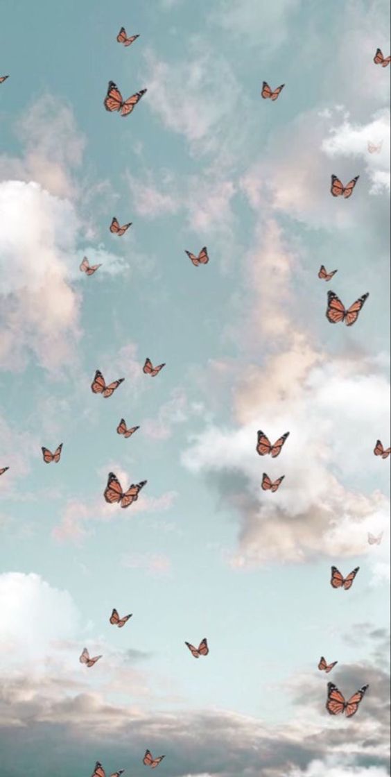 Moda Butterfly Aesthetic Wallpaper 