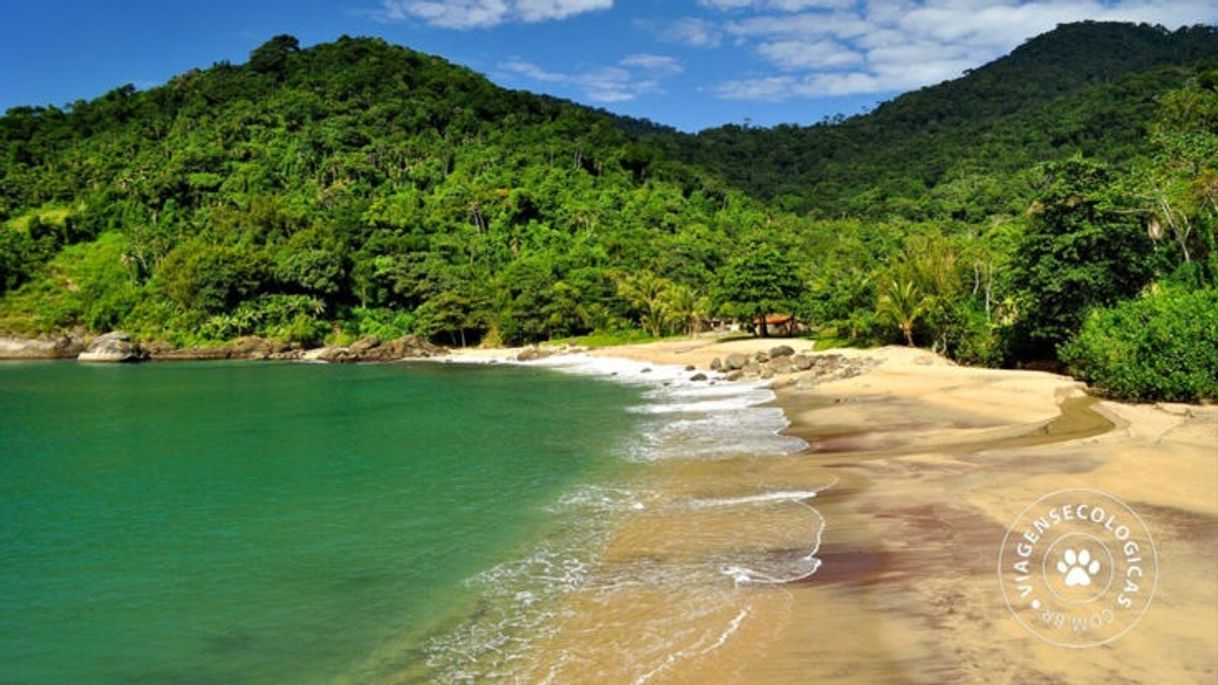 Lugar Praia da Figueira