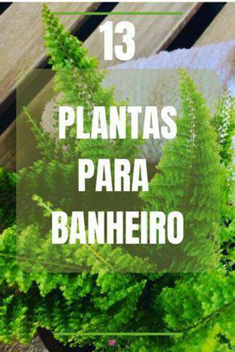 Fashion Plantinhas para o seu banheiro