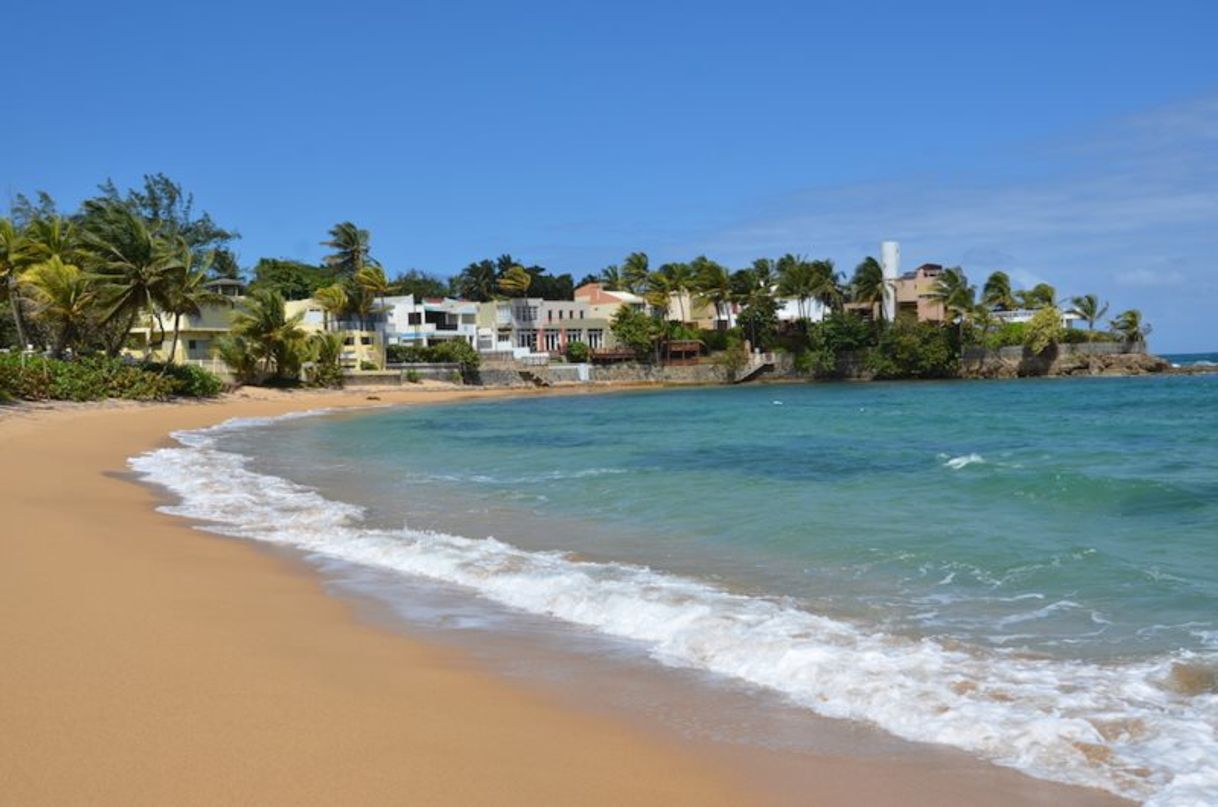 Lugares Playa Dorado Reef