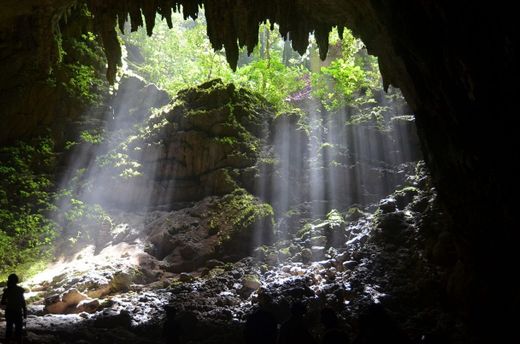 Parque De Las Cavernas Del Río Camuy
