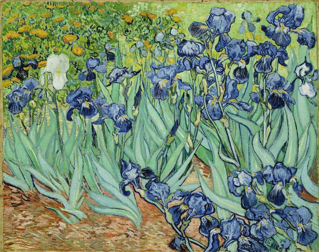 Social 1889