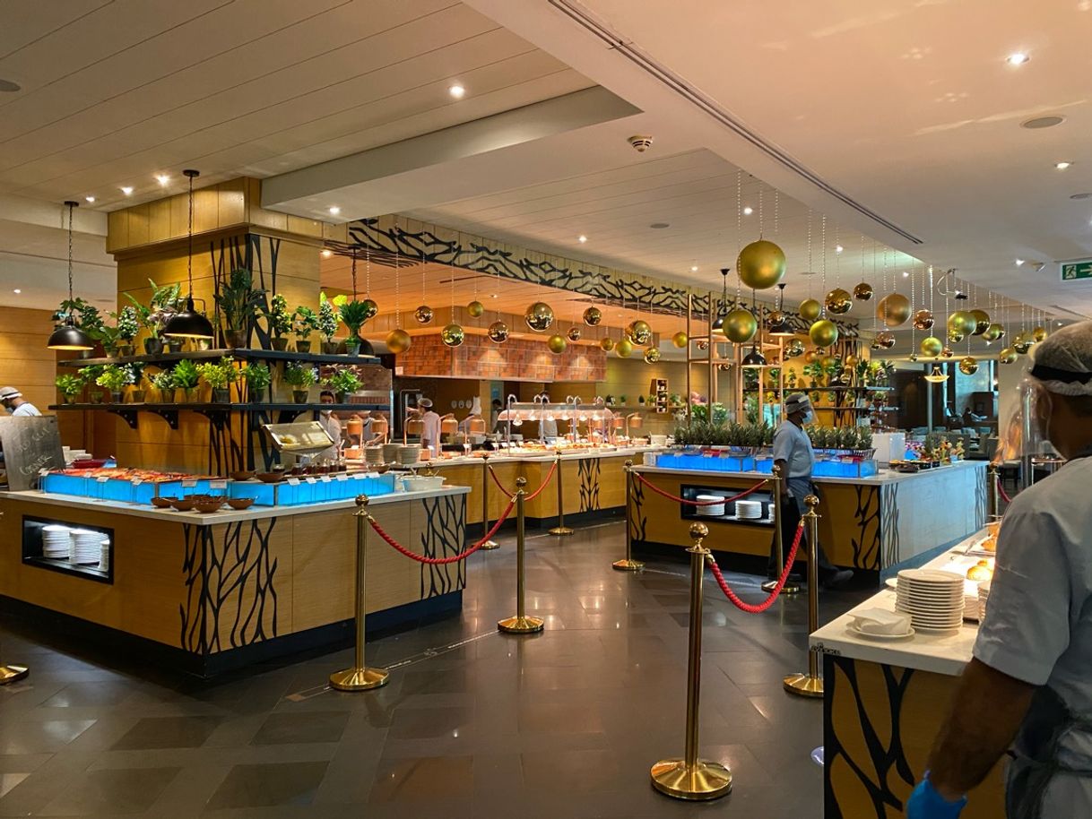 Place Rixos The Palm Dubai Hotel & Suites