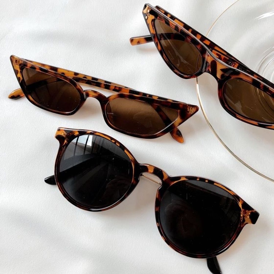 Moda Sunglasses 