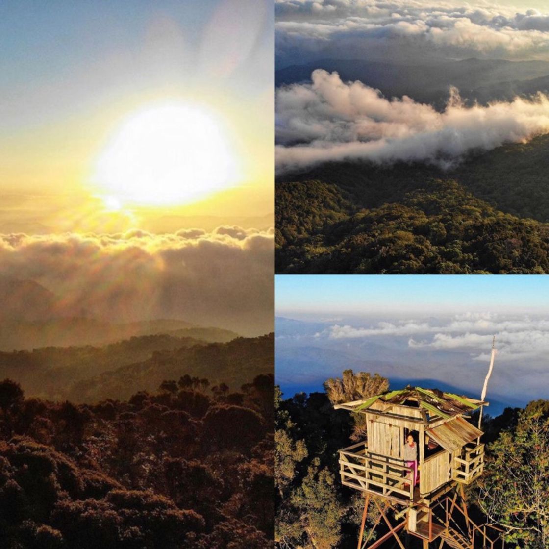 Place Pico del Gallo