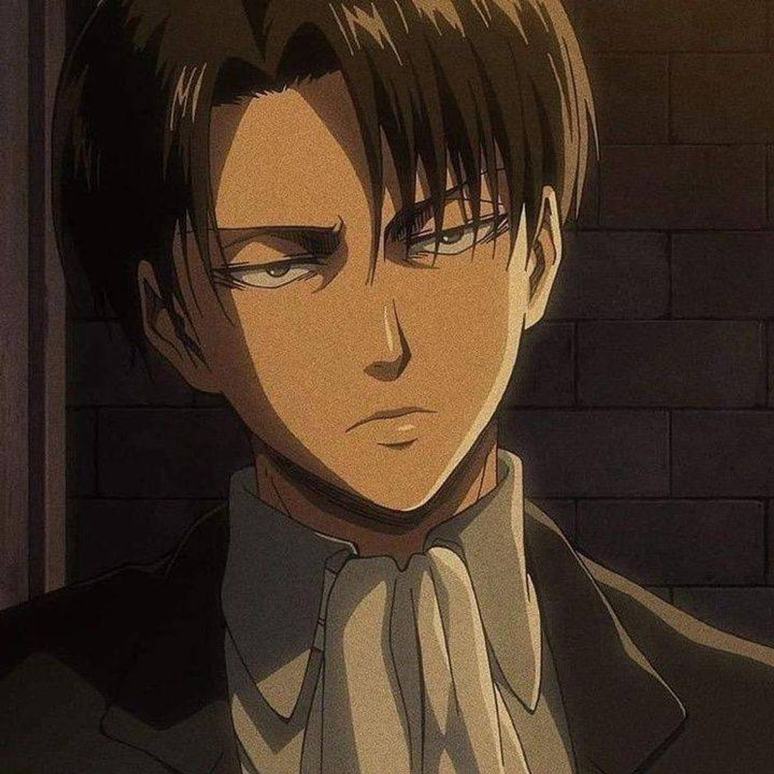 Fashion Levi aot