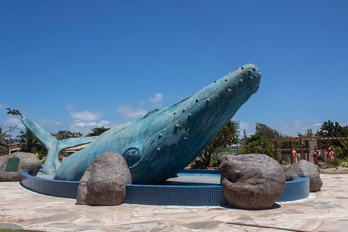 Place Praça da baleia