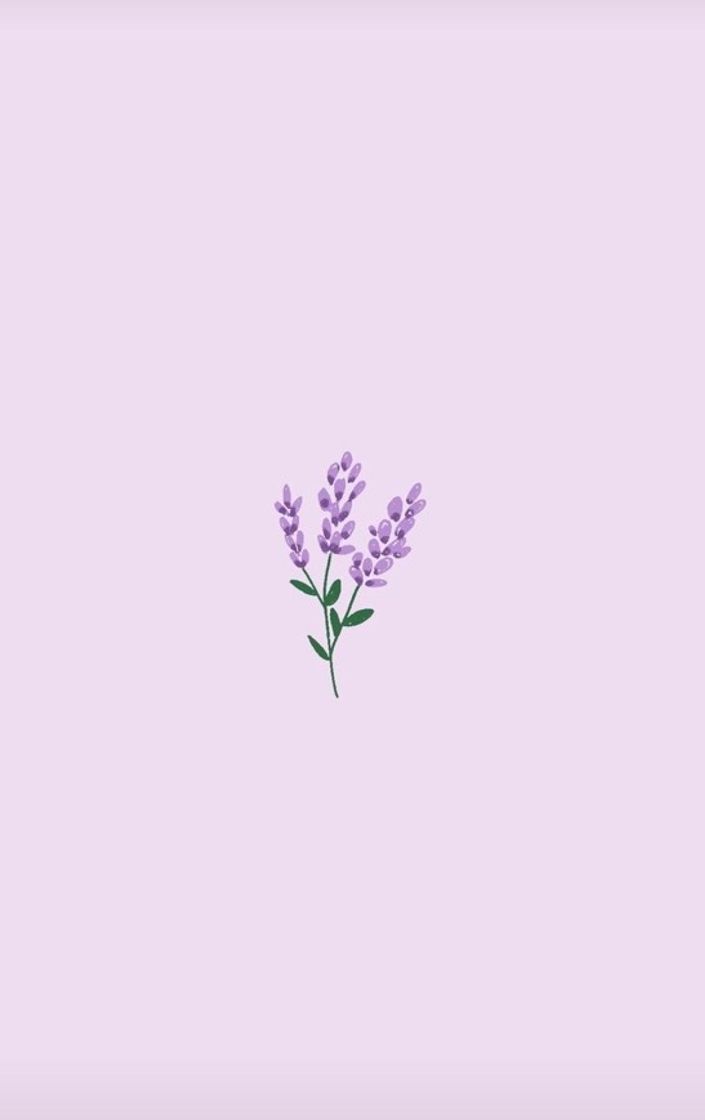 Fashion wallpaper lavanda 