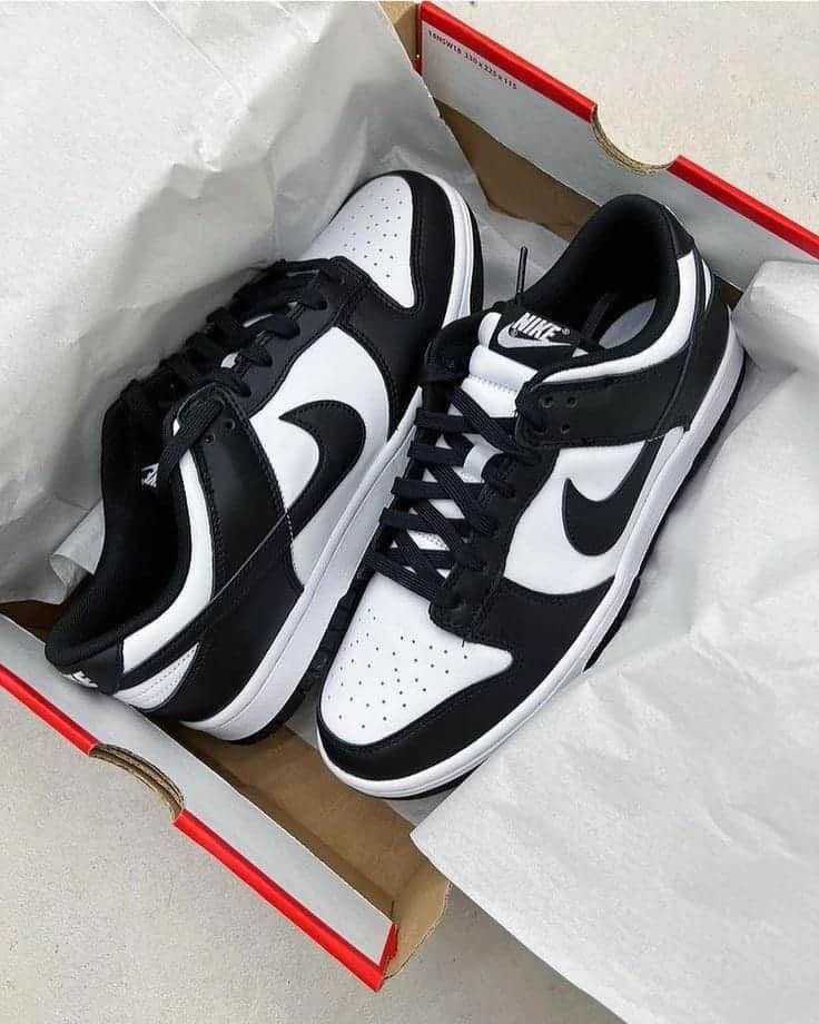 Social Nike Dunk