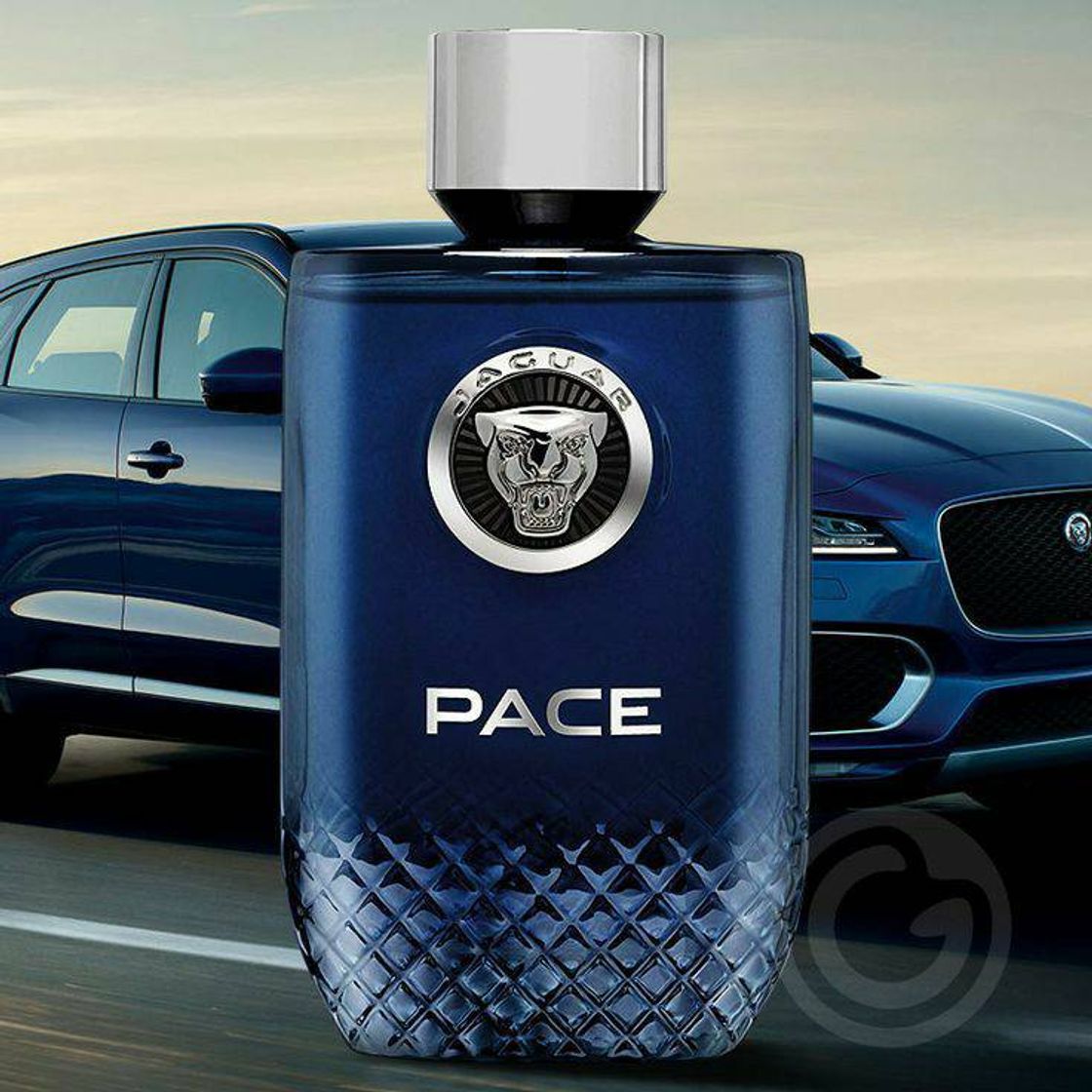 Fashion Perfume masculino