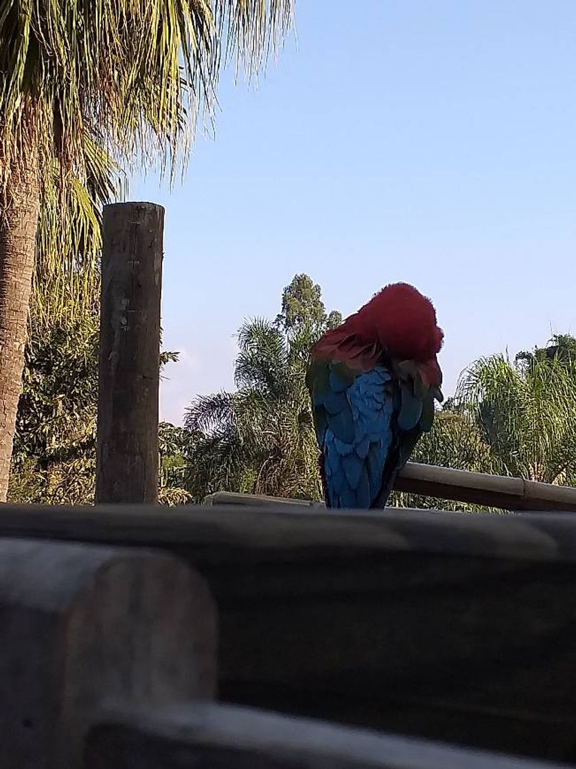 Restaurantes Roda D'agua Restaurante e Cachaçaria