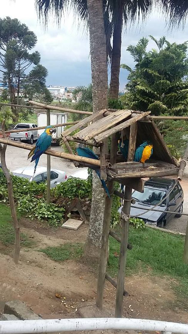 Restaurantes Roda D'agua Restaurante e Cachaçaria