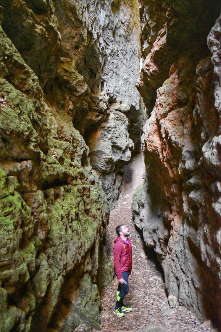 Lugar Avencs De La Febró