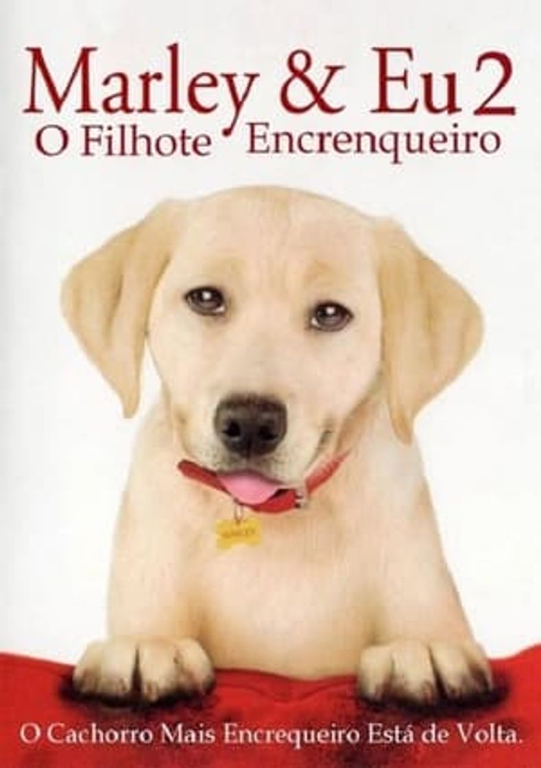 Movie Una pareja de tres: Los años cachorros