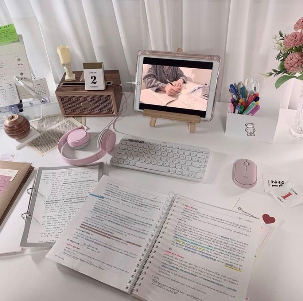 Social 2021 Standard Planner for Music Lovers: Pink Headphones - Yearly Planner with