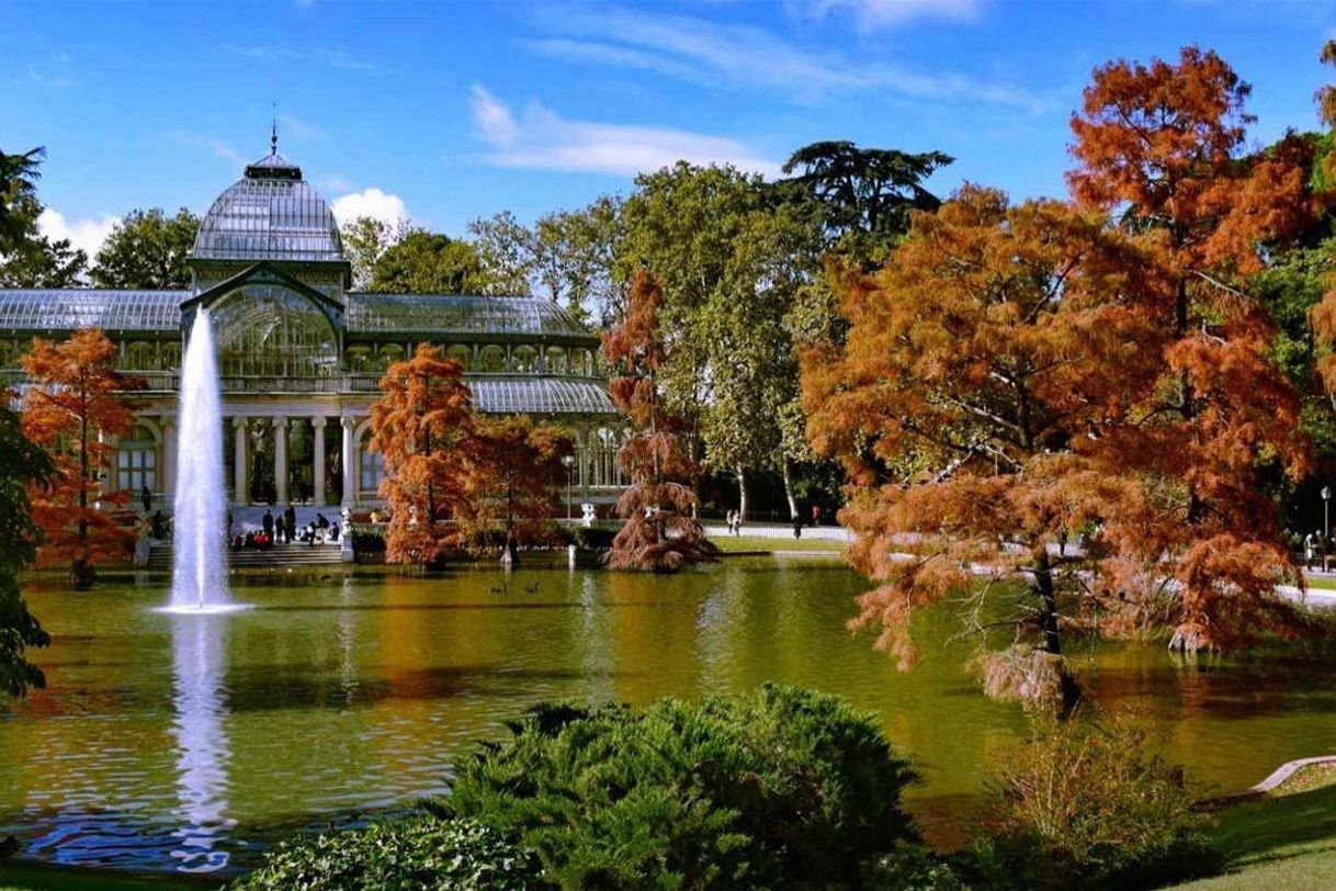 Place Parque de El Retiro