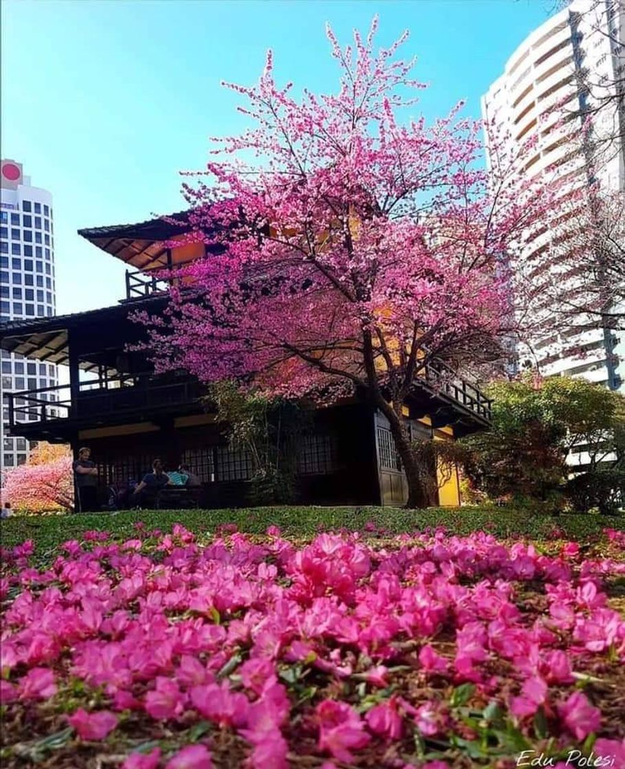 Lugar Praça do Japão