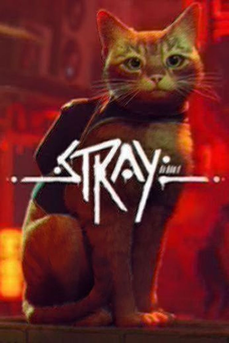 Videogames Stray - El gato callejero