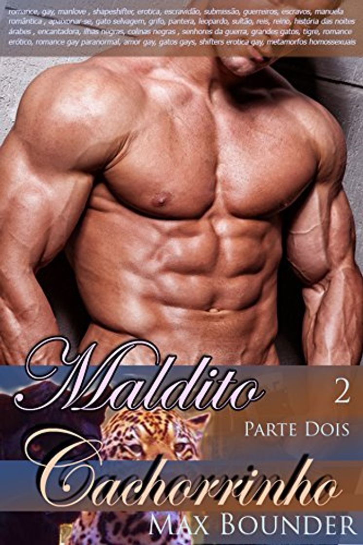 Libro Gatos Selvagens Malditos - Parte Dois: romance, gay, manlove , shapeshifter, erotica,