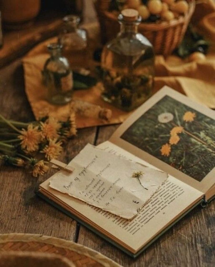 Hufflepuff vibes