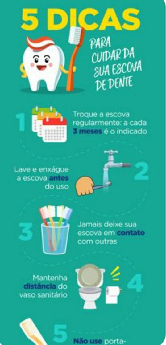 Moda Dicas para cuidar da sua escova de dente😉