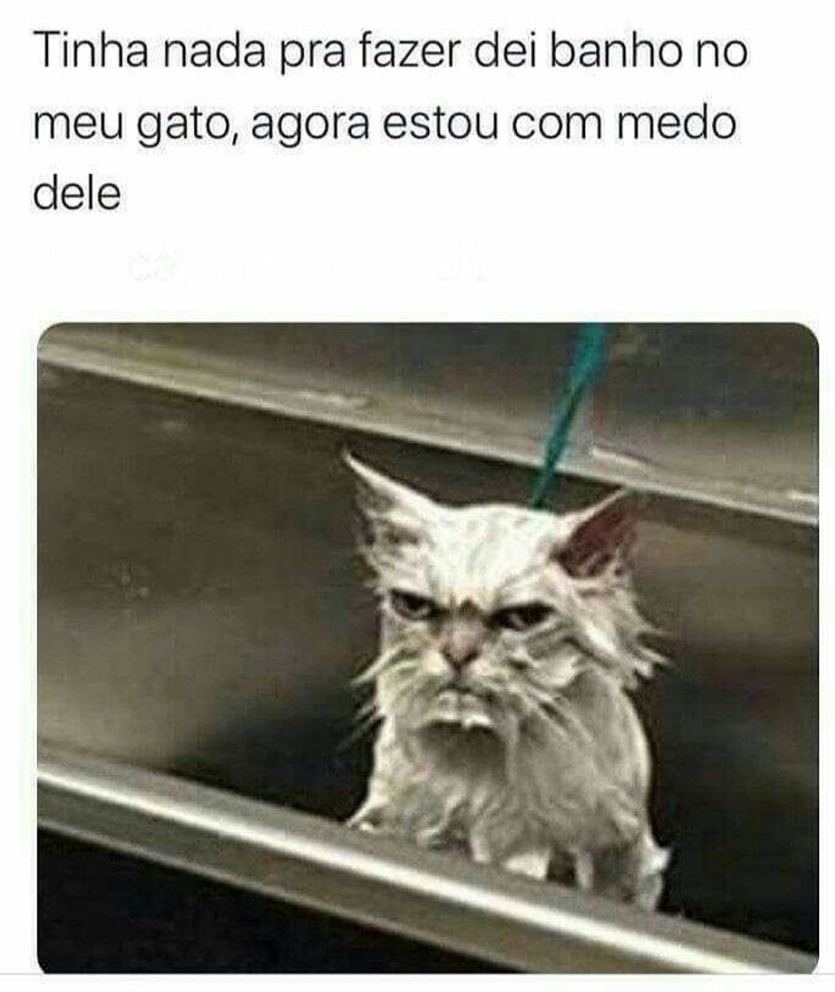 Moda PENSE NUM SERUMANINHO BRAVO