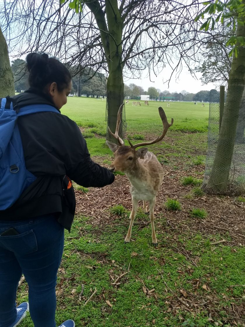 Lugar Phoenix Park