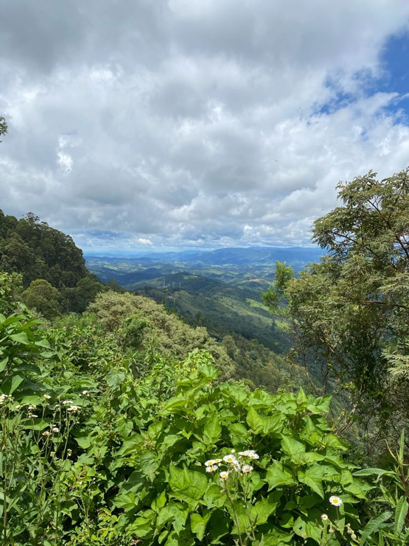 Place Campos do Jordão