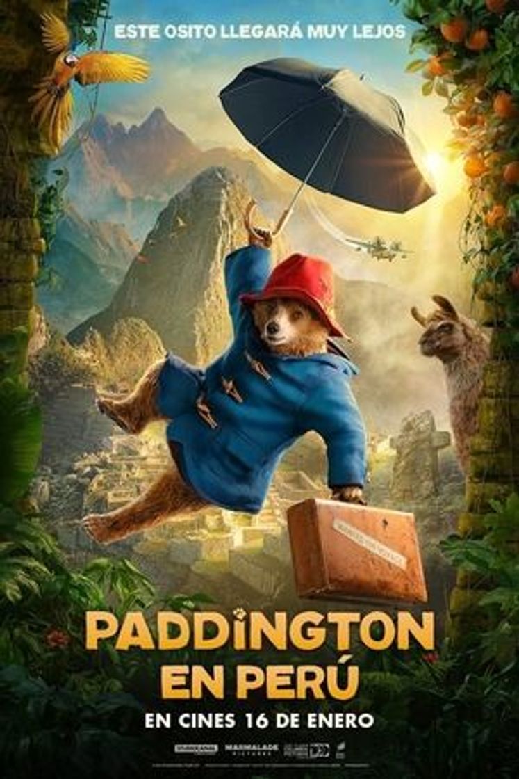 Filme Paddington: Uma Aventura na Floresta