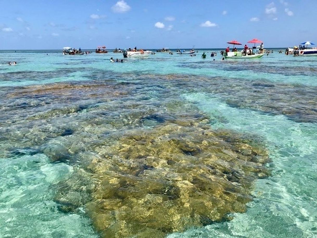 Restaurantes São miguel do gostoso Rn