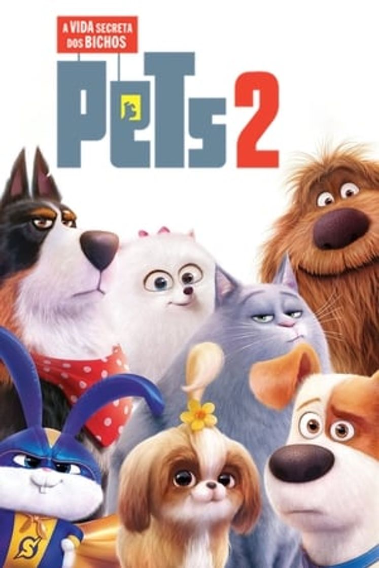 Mascotas 2