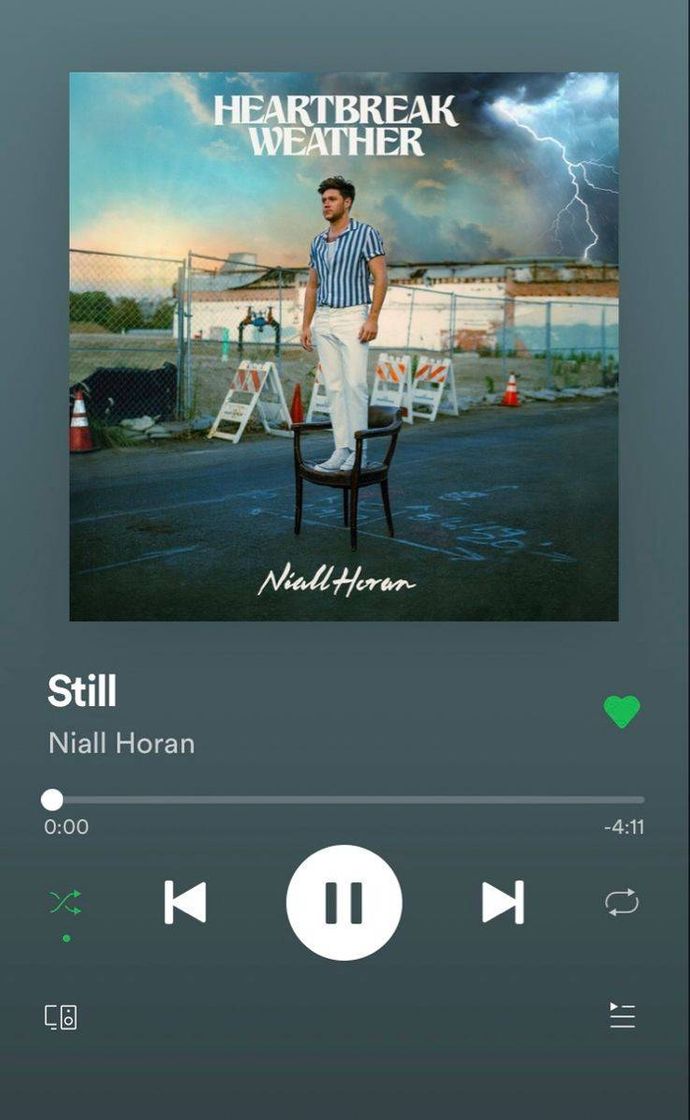 Moda Still - Niall Horan 