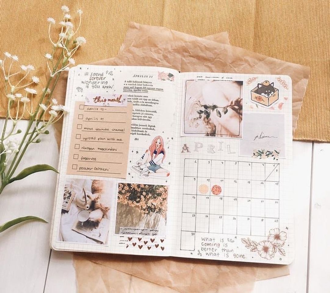 Moda Bullet Journal