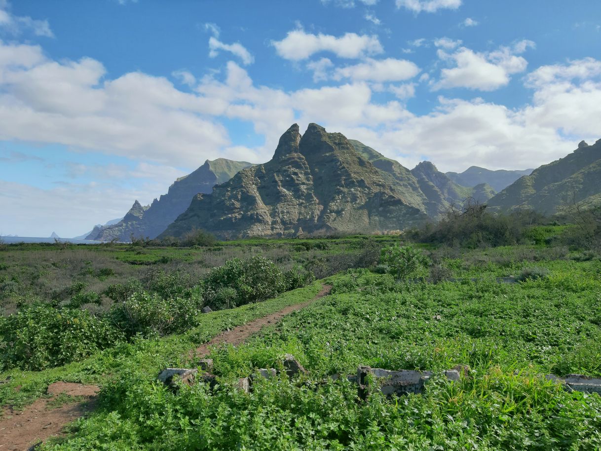 Lugares Punta del Hidalgo