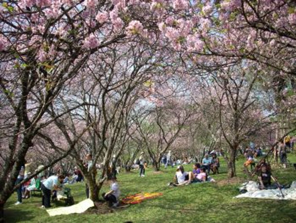 Place Parque do Carmo